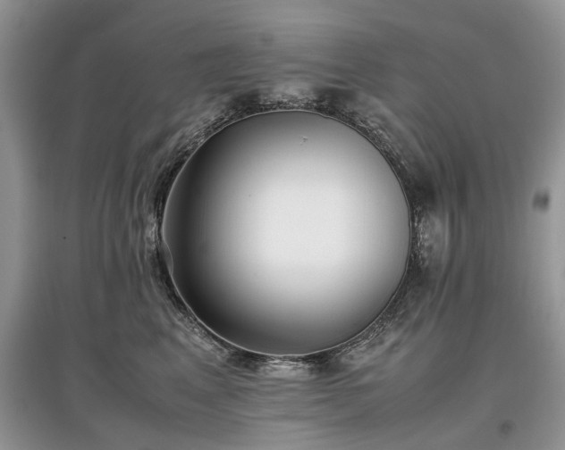 X0000097640617200803071554