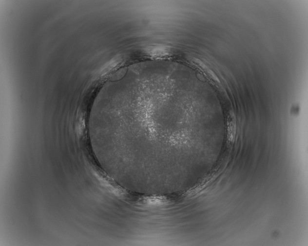 X0000097640618200803071554