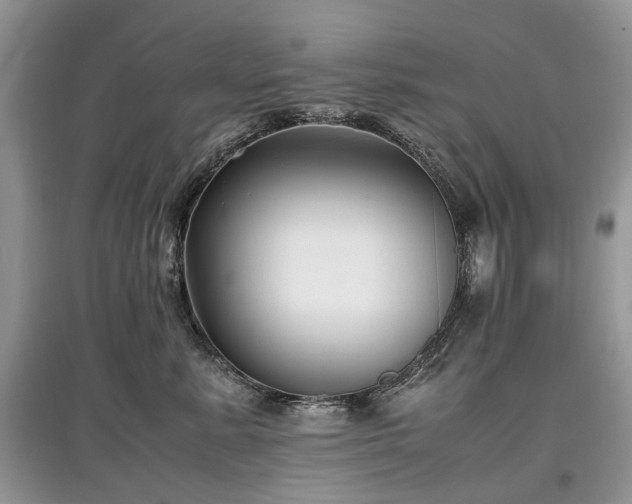 X0000097640619200803071554