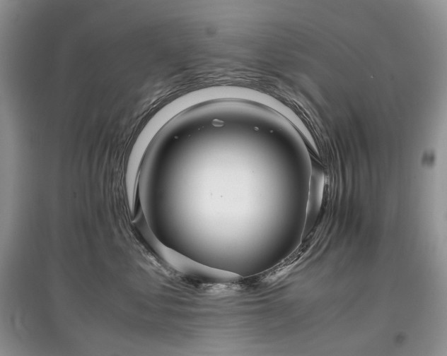 X0000097640621200803071554