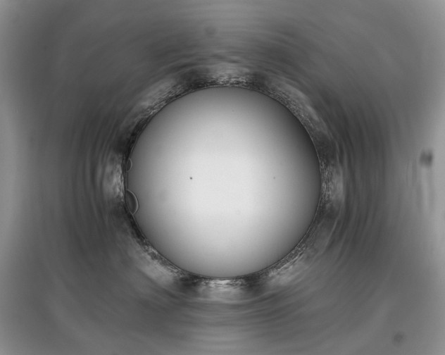 X0000097640622200803071554