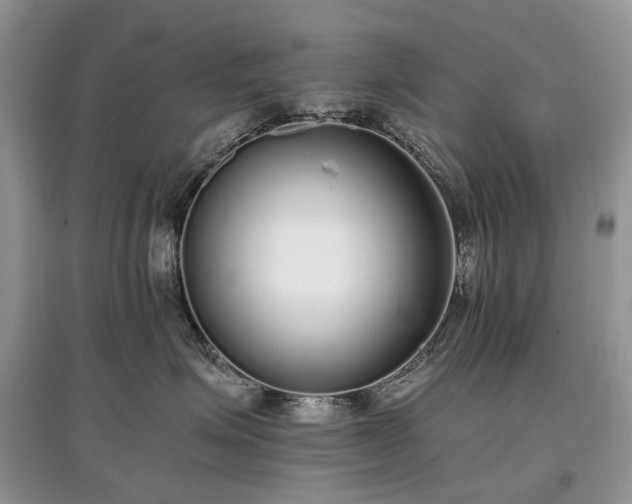 X0000097640623200803071554