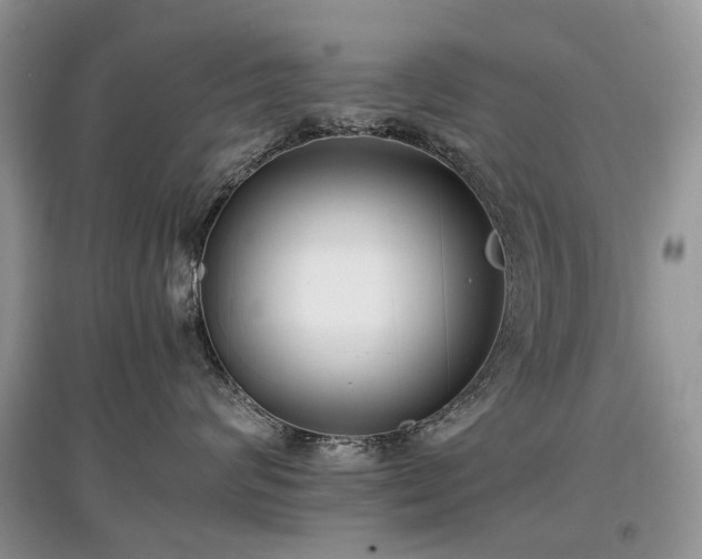 X0000097640624200803071554