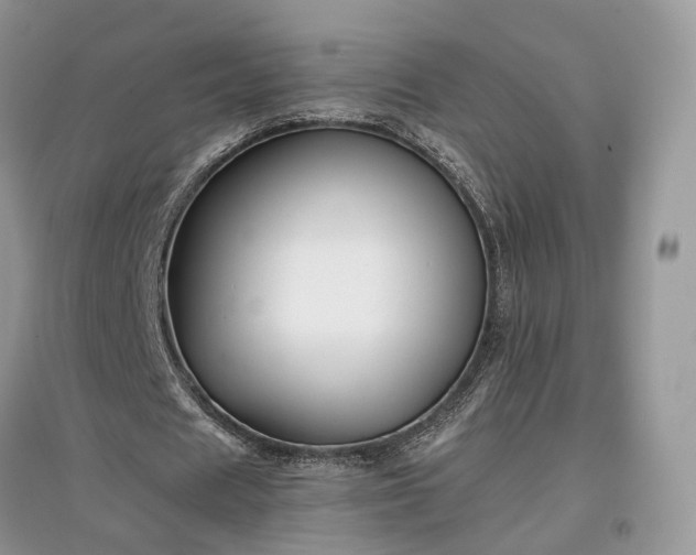 X0000097640625200803071553