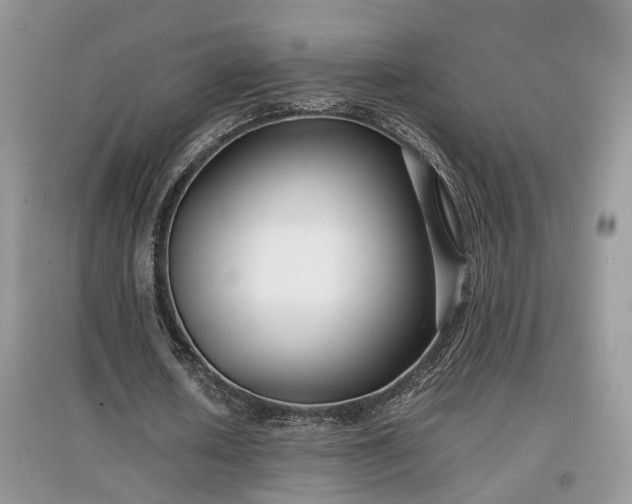 X0000097640626200803071553