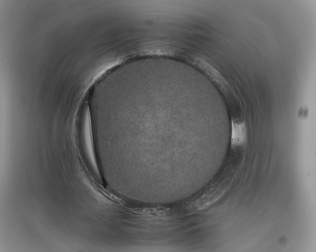 X0000097640627200803071553