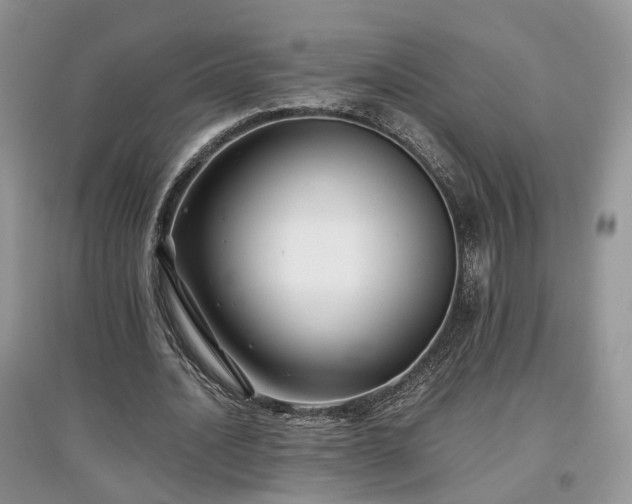 X0000097640628200803071553