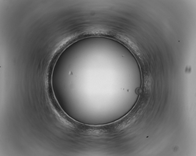 X0000097640629200803071553