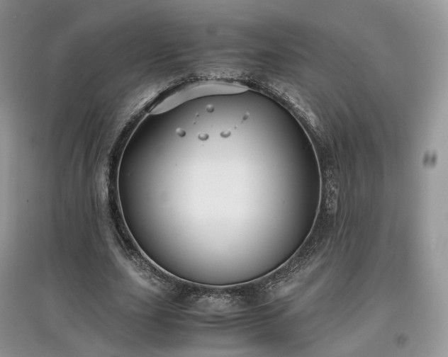 X0000097640631200803071553