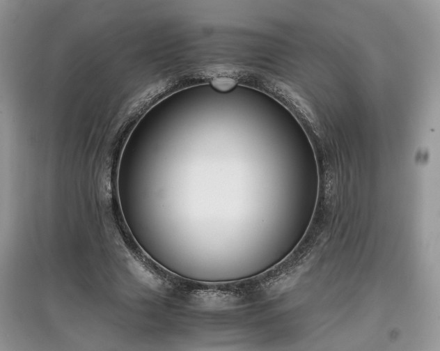 X0000097640633200803071554