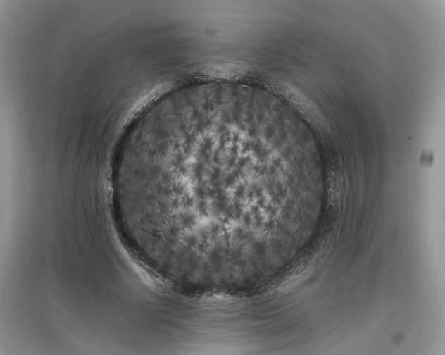 X0000097640634200803071554