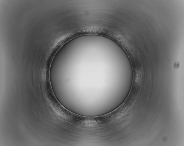 X0000097640636200803071554