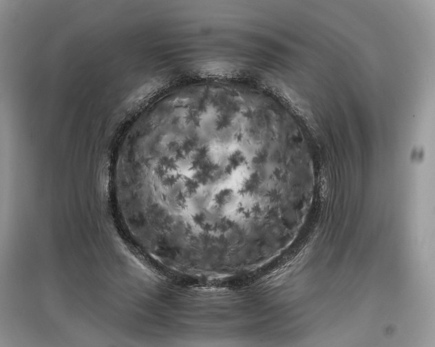 X0000097640637200803071554