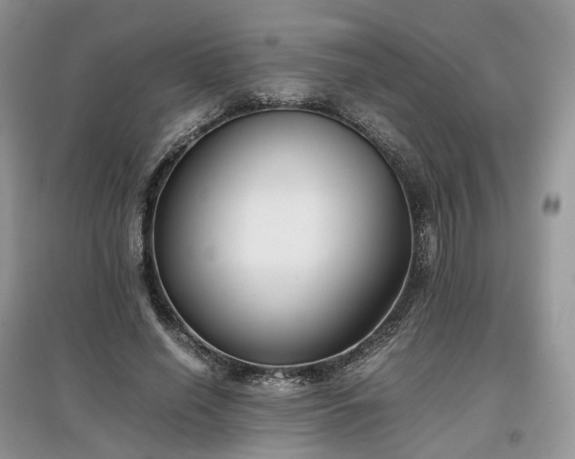 X0000097640638200803071554