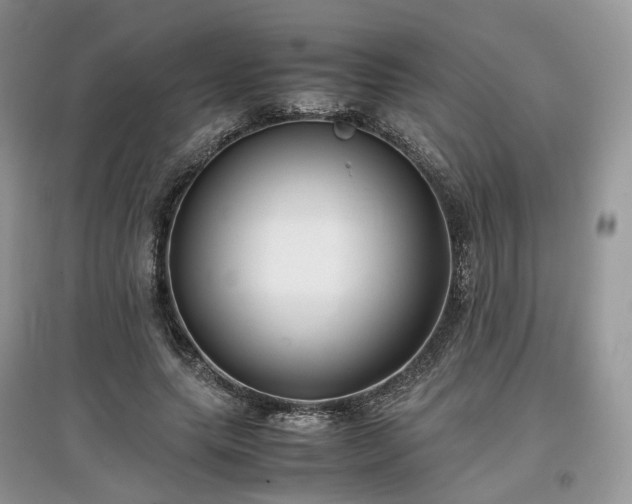 X0000097640639200803071554