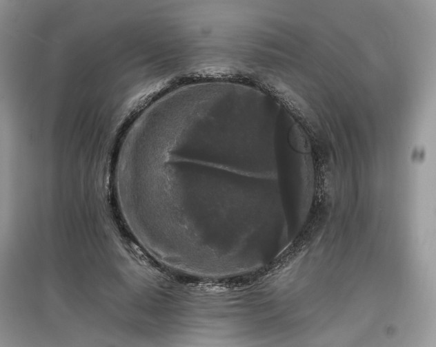 X0000097640640200803071554