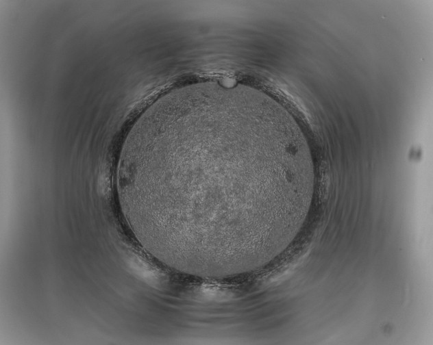 X0000097640641200803071554