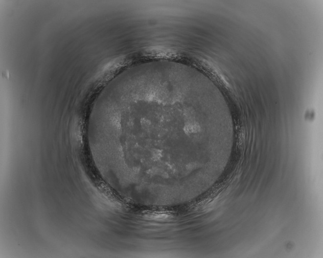 X0000097640643200803071554