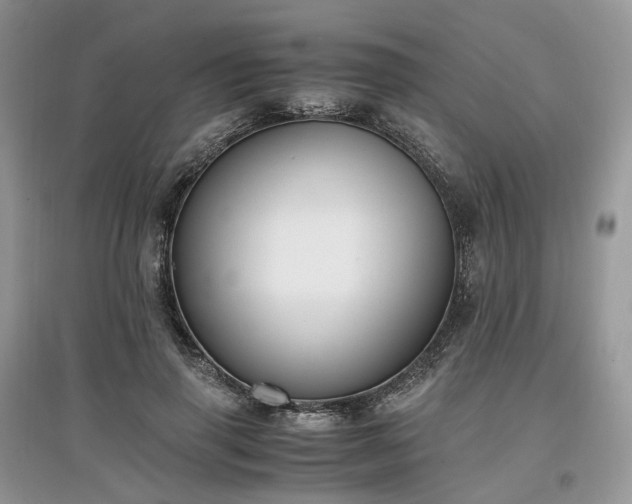 X0000097640645200803071554