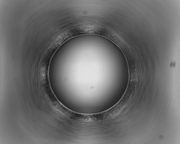 X0000097640646200803071554