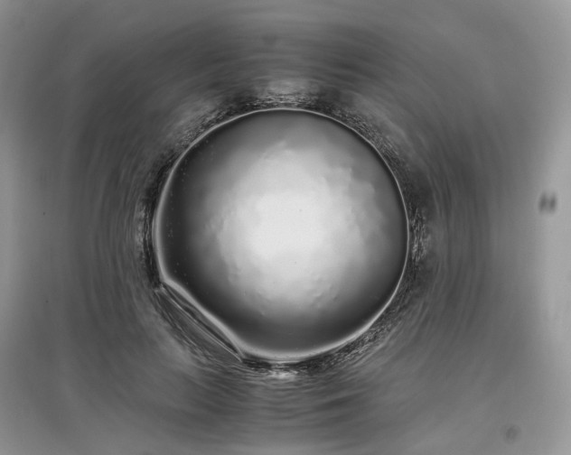 X0000097640647200803071554