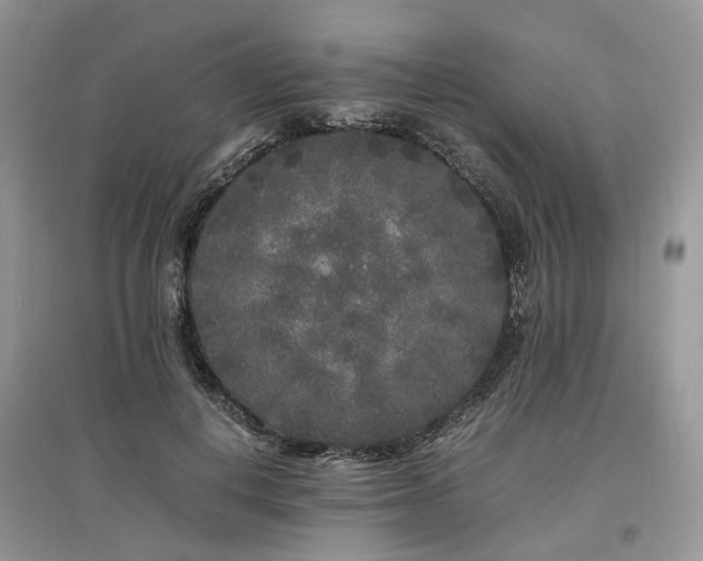 X0000097640648200803071554