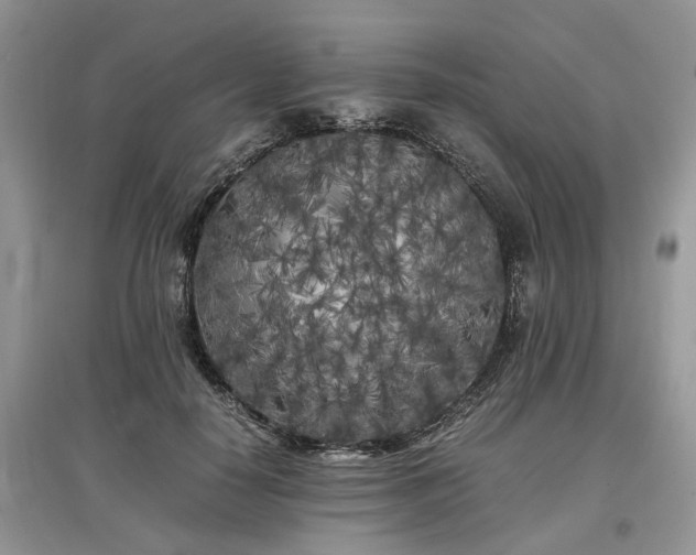 X0000097640650200803071554