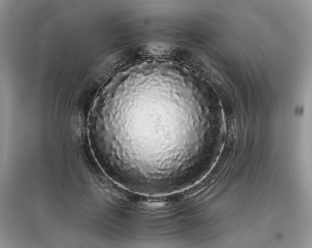 X0000097640651200803071554