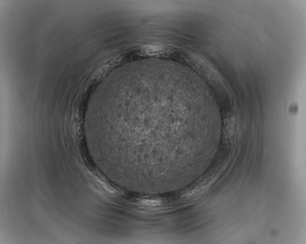 X0000097640653200803071554