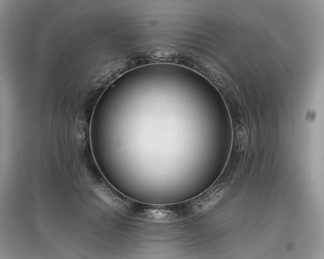 X0000097640654200803071554