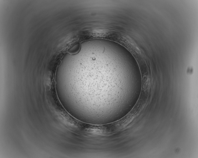 X0000097640655200803071554