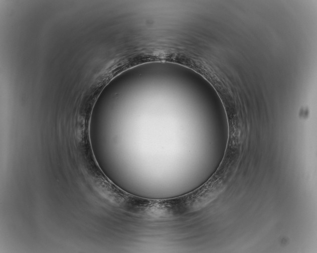 X0000097640656200803071554