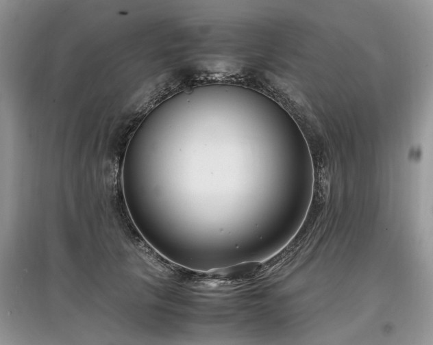 X0000097640657200803071554