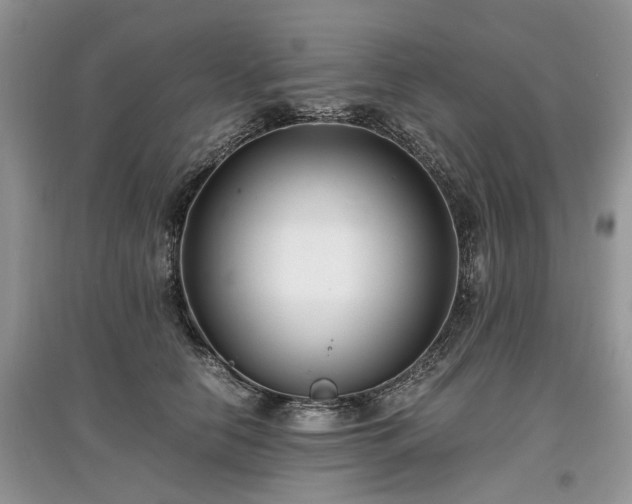 X0000097640658200803071554