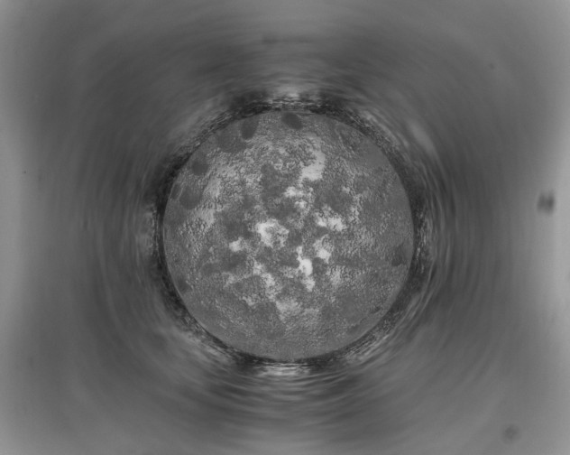 X0000097640659200803071554