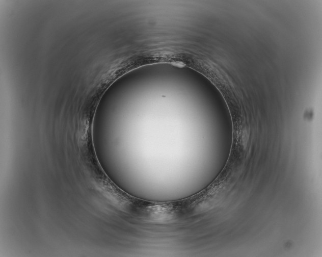 X0000097640660200803071554