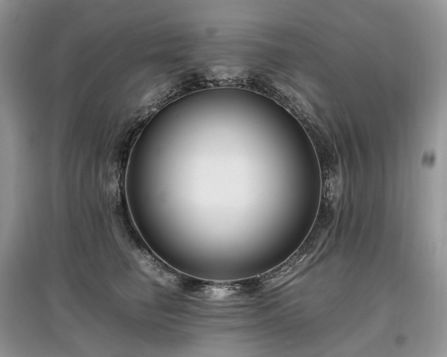 X0000097640662200803071554