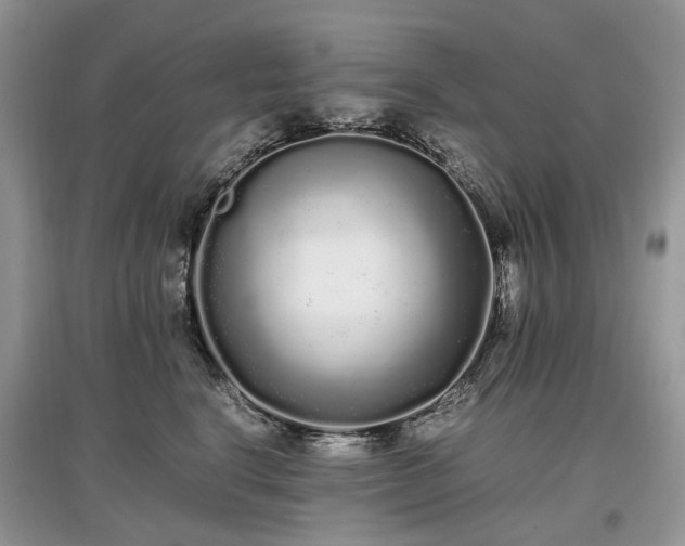 X0000097640664200803071554