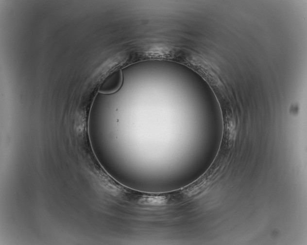 X0000097640665200803071554