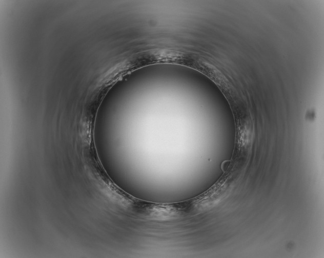 X0000097640666200803071554