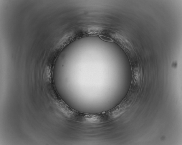 X0000097640667200803071554