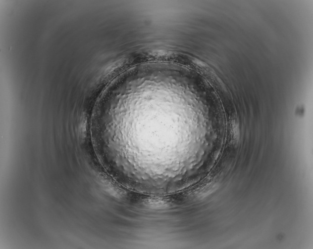 X0000097640668200803071554