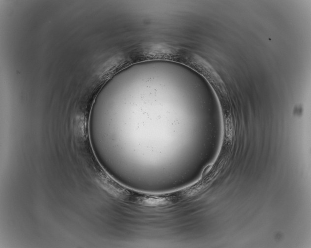 X0000097640669200803071554