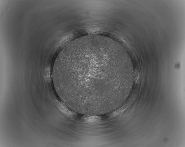 X0000097640670200803071554