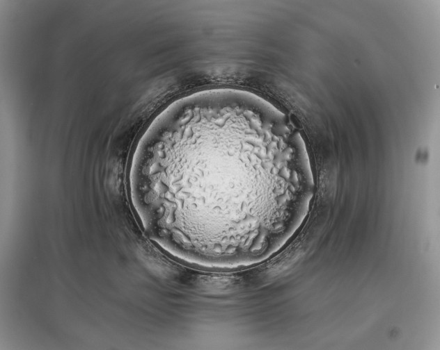 X0000097640671200803071554