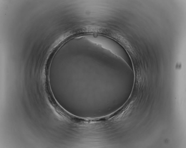 X0000097640674200803071553