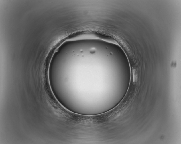 X0000097640675200803071553