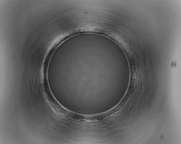 X0000097640678200803071553