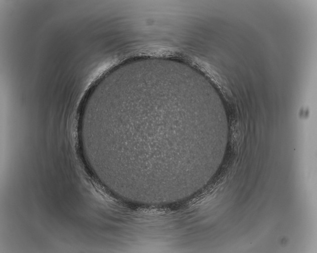 X0000097640679200803071553