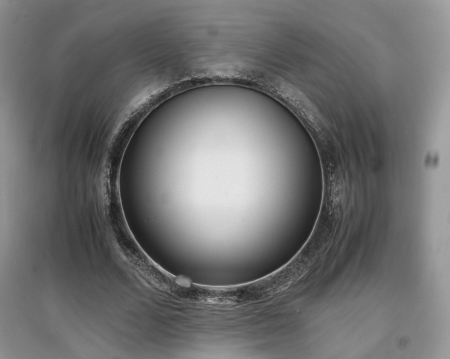 X0000097640680200803071553